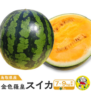 【先行予約】鳥取県北栄町産 金色羅皇スイカ 1玉 7-9キロ前後（こちらの返礼品は、大栄西瓜ではありません）【西瓜 西瓜 すいか すいか 果物 くだもの フルーツ】
