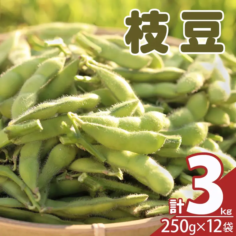 先行予約≪期間限定≫枝豆(茶豆風味・茶豆)計3kg 野菜 旬 国産_T003-0065