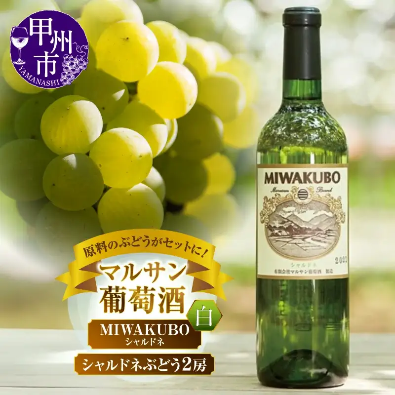 ワイン マルサン葡萄酒 シャルドネワイン＆シャルドネぶどう ちょっとニッチなセットになります！（MG）B13-669