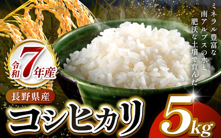 米 お米 コシヒカリ 信州伊那産 令和７年度 伊那市田原産米 コシヒカリ 5キロ 【014-50】