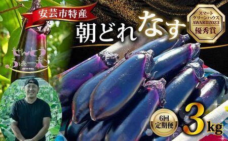 【6回定期便】なす3kg 安芸 なす （AZ006）