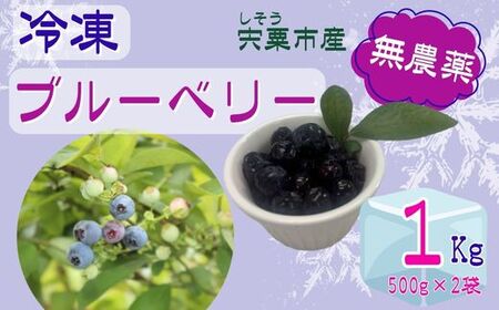 K11　しそうの “ 冷凍 ” ブルーベリー　1kg（500ｇ×2）【 無農薬 冷凍 フローズン アイス ブルーベリー 果物 フルーツ 産地直送 国産 大容量 】