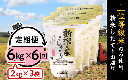 31-K66【6ヶ月連続お届け】新潟県産コシヒカリ6kg（2kg×3袋）