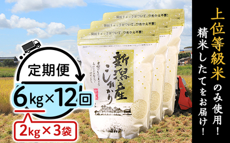 31-K6Z【12ヶ月連続お届け】新潟県産コシヒカリ6kg（2kg×3袋）