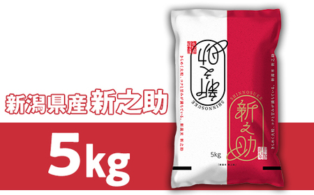 23-S51R7新潟県胎内市産 新之助5kg