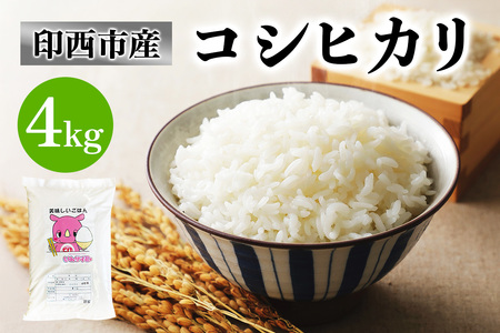新米 コシヒカリ 令和7年産 印西市産 美味しいごはん 4kg こしひかり [0518]