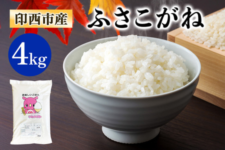 ふさこがね 令和7年産 印西市産 美味しいごはん 4kg 精米 [0521]