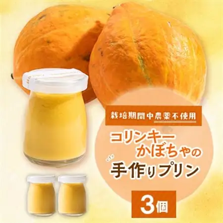 栽培期間中、農薬を使わず自家栽培した「コリンキーかぼちゃ」使用の手作りプリン　3個【配送不可地域：離島】【1670917】