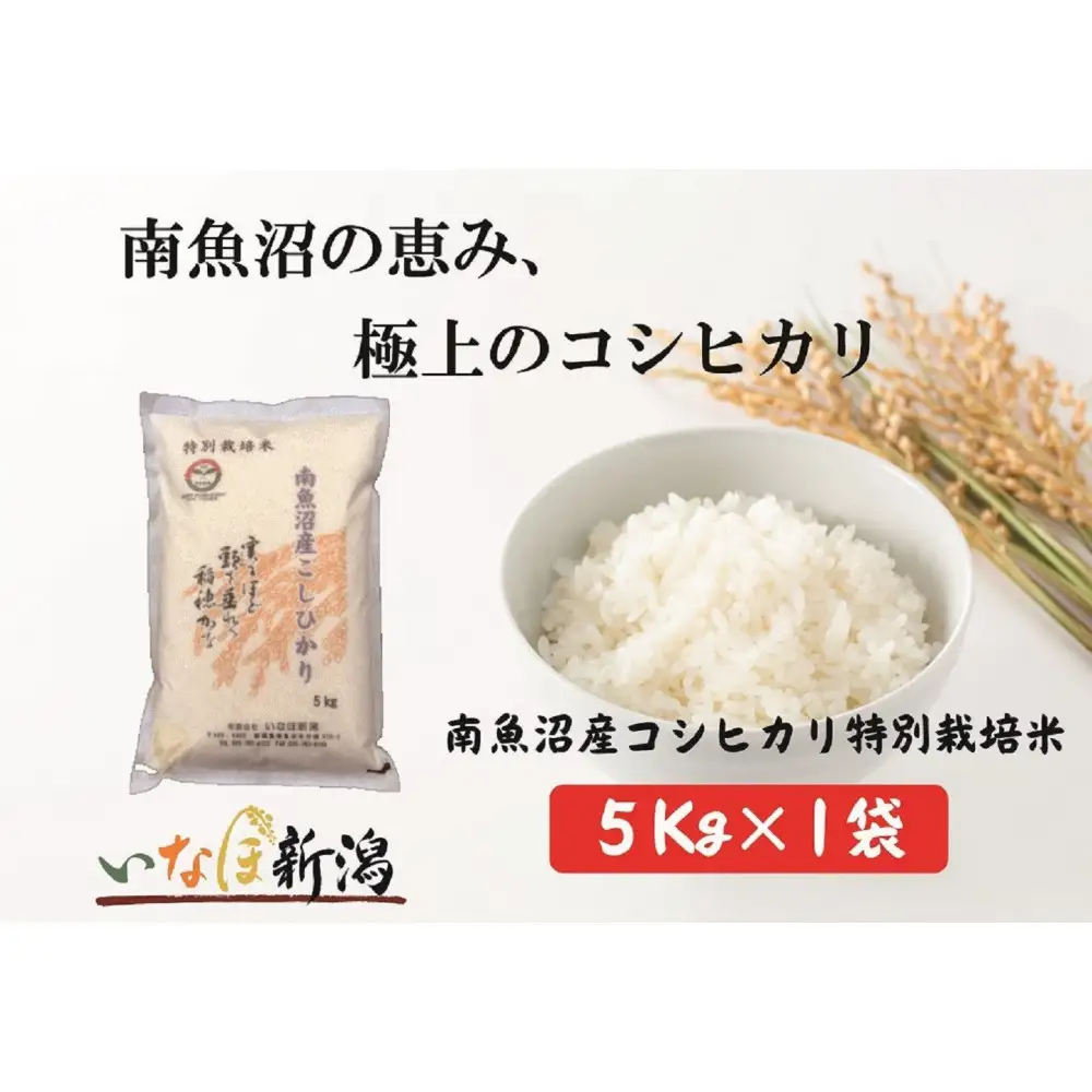 令和7年産 南魚沼産コシヒカリ特別栽培米 白米 5kg【銘柄米 ブランド米 精米 こしひかり コシヒカリ 魚沼産 新潟米 産地直送 お米 米 こめ コメ ご飯 御飯 ごはん】