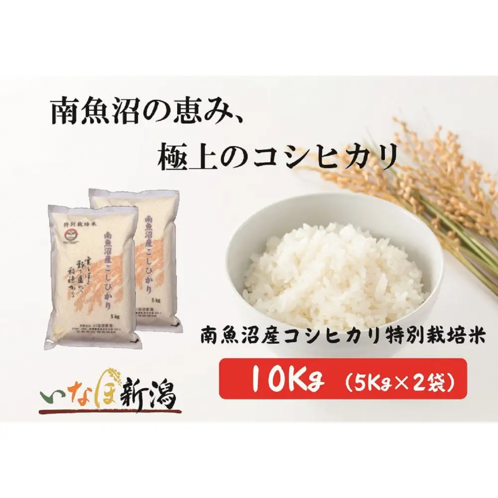 令和7年産 南魚沼産コシヒカリ特別栽培米 白米 10kg(5kg×2)【銘柄米 ブランド米 精米 こしひかり コシヒカリ 魚沼産 新潟米 産地直送 お米 米 こめ コメ ご飯 御飯 ごはん】