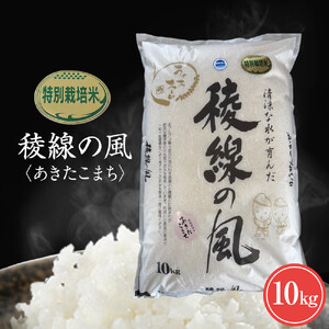  【信濃大町産】特別栽培米　稜線の風（あきたこまち） 10kg | ブランド 米 新米 長野 信州