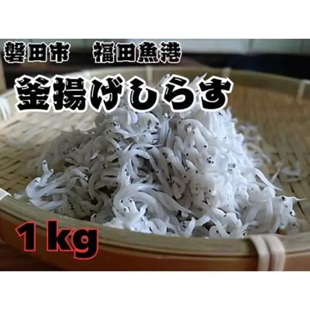釜揚げしらす 1kg 化粧箱【配送不可地域：離島】【1675703】