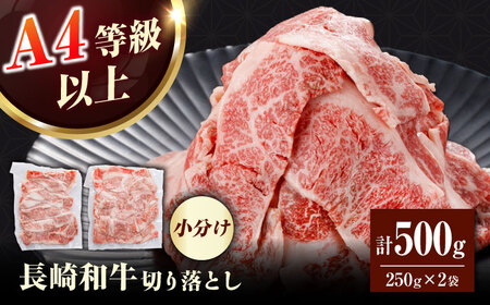 【訳あり】長崎和牛（バラ、モモ、肩ロースのいずれか）500g 切り落とし 250g×2P 小分け 【株式会社時愉亭】[RCE021]