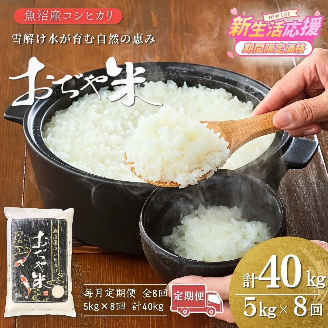 魚沼産コシヒカリ 令和7年 定期便 「おぢや米」 40kg（5キロ×8回）| 特A 新潟県 小千谷市 魚沼地域