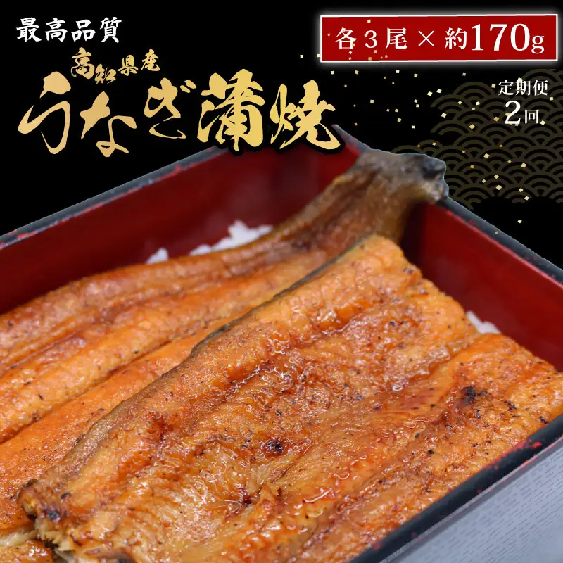 【2回定期便】 鰻蒲焼 約170g×3尾 鰻蒲焼 