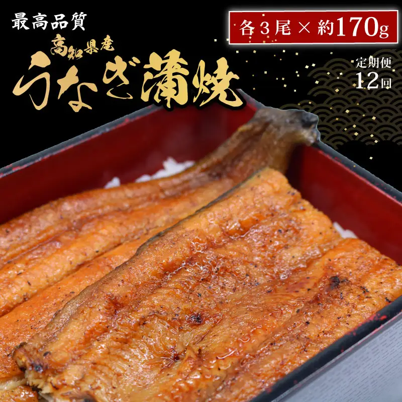 【12回定期便】 うなぎ蒲焼 約170g×3尾 うなぎ蒲焼