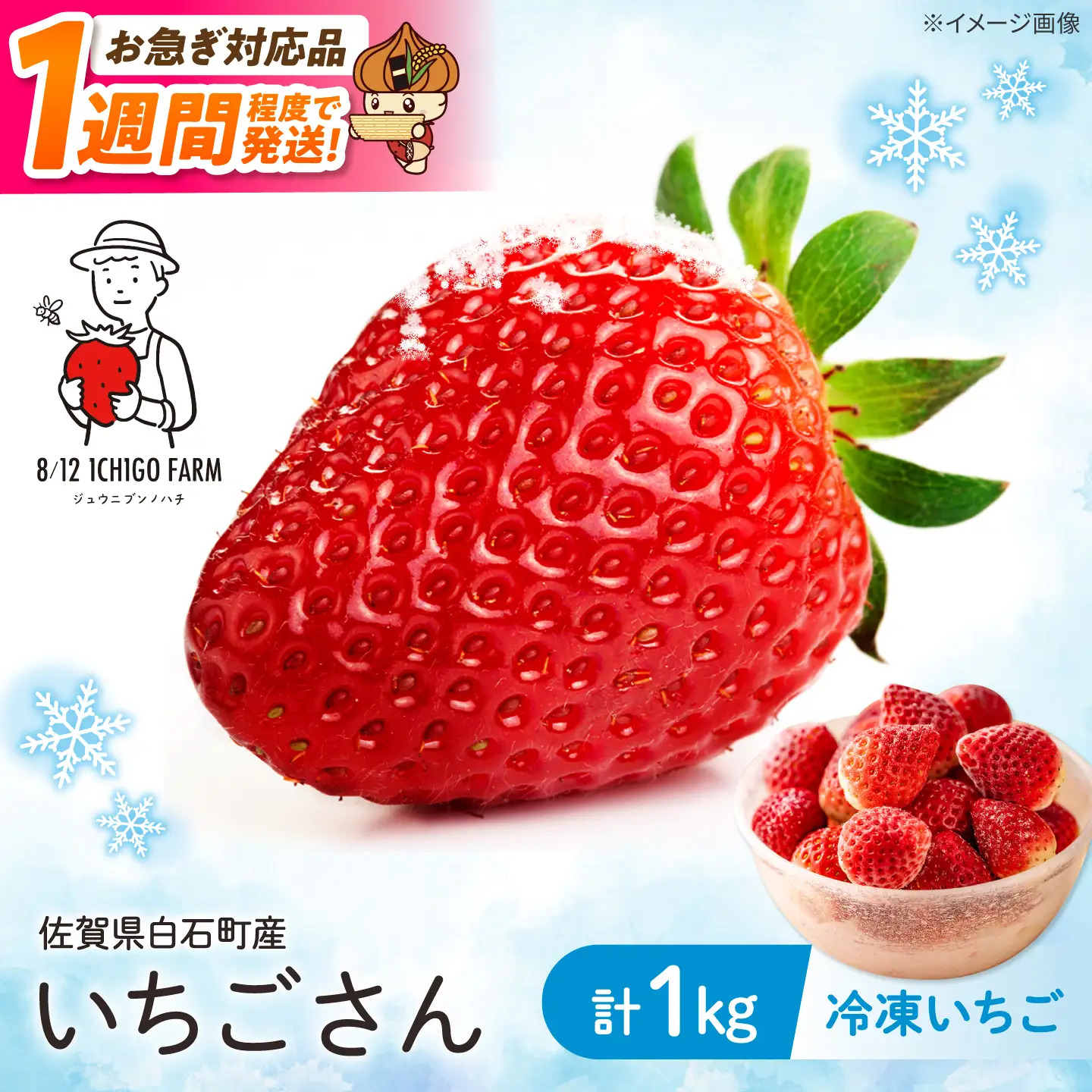 スピード発送 冷凍いちご（いちごさん）1kg 【8/12ICHIGOFARM】[IBR004]