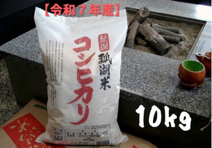 【 令和7年産 】新潟産 コシヒカリ 「瓢湖米」 10kg  米 こめ コメ 精米 白米 新潟県 阿賀野市 1N15028