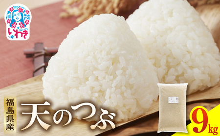 福島県産 天のつぶ 9kg×1袋
