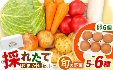 採れたてお野菜おまかせ（5～6種）・卵6個セット/ 野菜 やさい 野菜セット 野菜詰め合わせ 詰め合わせ セット たまご 卵 タマゴ 紅たまご こだまさんち / 大村市 / かとりストアー[ACAN105]