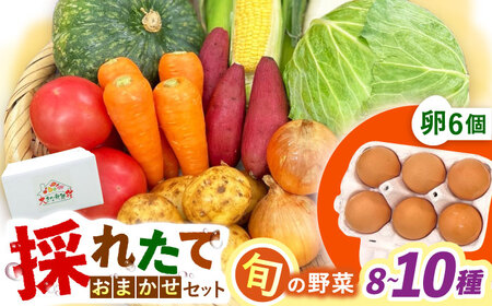 採れたてお野菜おまかせ（8～10種）・卵6個セット/ 野菜 やさい 野菜セット 野菜詰め合わせ 詰め合わせ セット たまご 卵 タマゴ 紅たまご こだまさんち / 大村市 / かとりストアー[ACAN107]