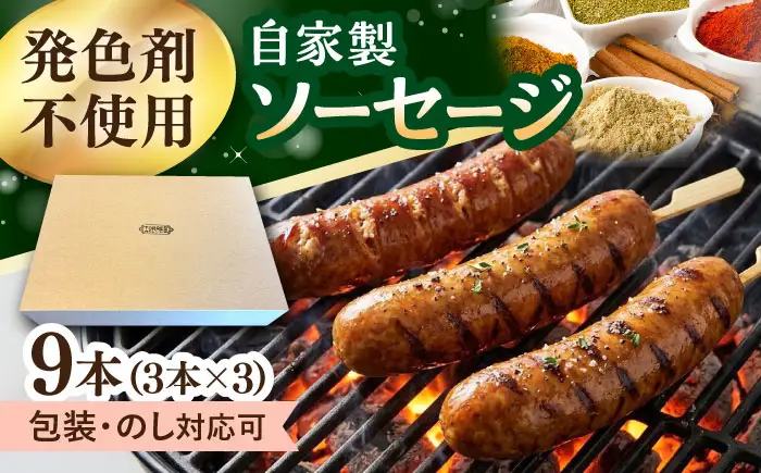 ソーセージ　9本（3本入×3パック）大村市 / Torres手作りハムベーコン工房[ACYW004]