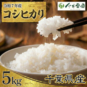 【令和7年産】千葉県産コシヒカリ（精米）5kg ／ 米 こめ ご飯 こしひかり 甘み 粘り 香り 冷めても美味しいお米 千葉県