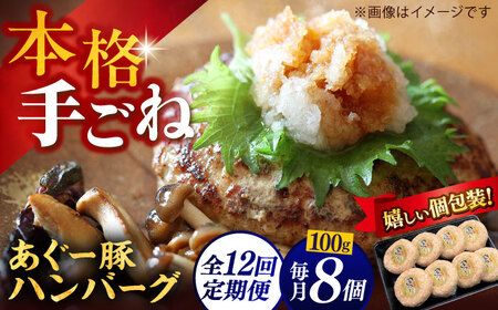 【全12回定期便】沖縄県産あぐー豚ハンバーグセット 800g (100g×8個) 豚 ハンバーグ 冷凍 ギフト お取り寄せ 沖縄市 / お肉屋本店[BCAZ011]