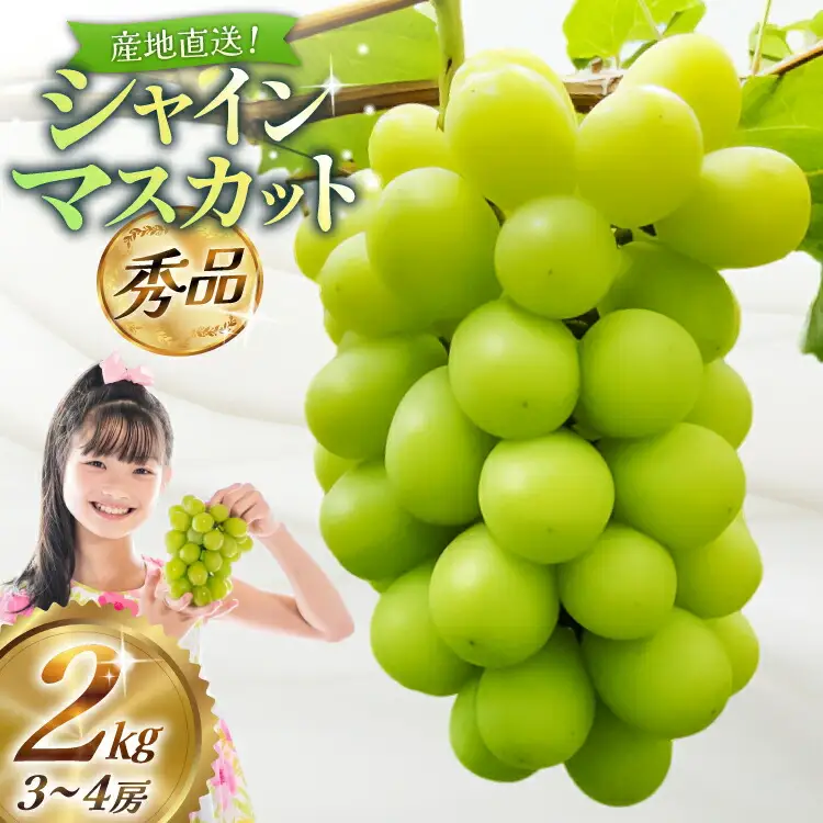 【期間限定発送】【2026年発送】 シャインマスカット 秀品 約2kg (約3～4房) [齋藤農園 山形県 高畠町 tk06bgt070000] 