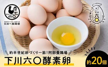 Mサイズ 約20個（18個＋割れ補償2個） 約半世紀卵づくり一筋 ！『下川六〇酵素卵』 下川ろくまる あべ養鶏場 割れ補償付き たまご F4G-0288