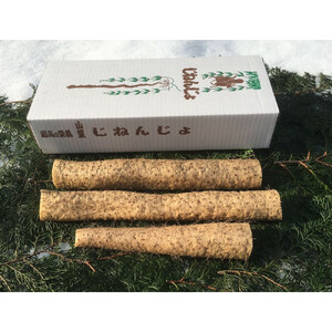 大田原産　自然薯（カット品）600ｇ［常温発送］