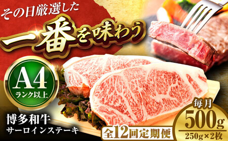 【全12回定期便】【A4-A5】博多和牛 サーロインステーキ 500g(250g×2枚) [BGAB114]
