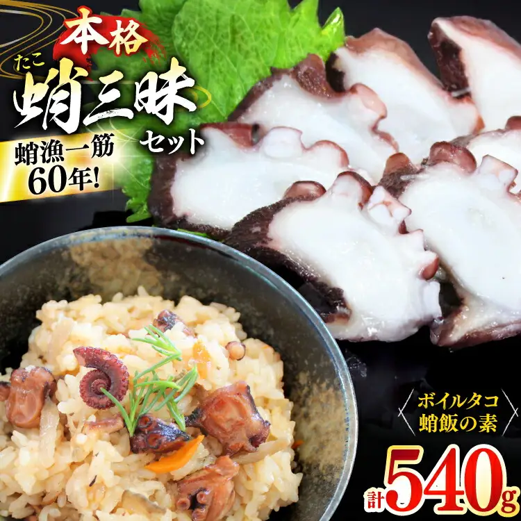 たこめし 素 ボイルタコ 蛸 漁師飯セット (タコ飯の素 2P / ボイルタコ 300g) [めぐみ屋 長崎県 平戸市 hr42bgy400033]