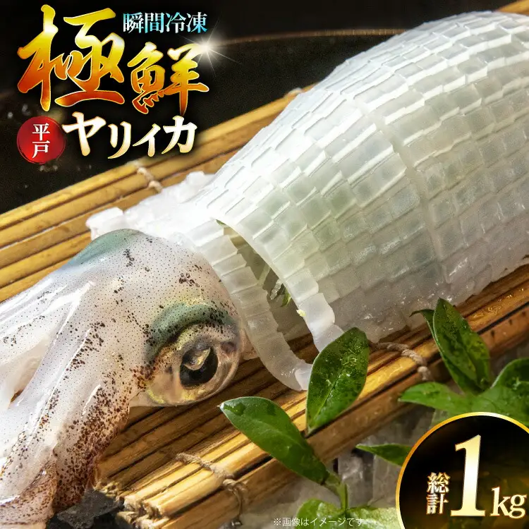 イカ 刺身 極鮮ヤリイカ 約1kg [海隆丸 長崎県 平戸市 hr42bvk550001] おつまみ ヤリイカ 新鮮 海鮮 魚介 瞬間冷凍 冷凍 コリコリ 直送 冷凍 個包装 真空パック