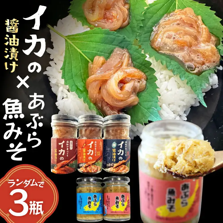 ご飯のお供 あぶらみそ イカ 醤油漬け 3本 ランダムでお届け [康貴丸水産 長崎県 平戸市 hr42bgy400203]