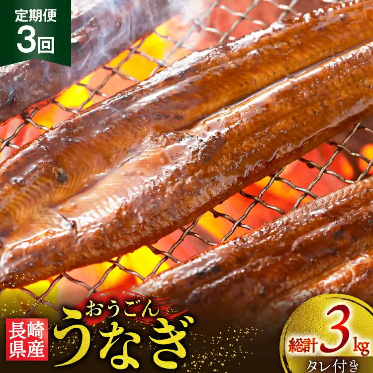 うなぎ 国産 蒲焼 長崎県産 おうごんうなぎ 松 セット 約1kg 6尾～8尾 3回 定期便 総計 約3kg [松永水産 長崎県 平戸市 hr42bgy400019]