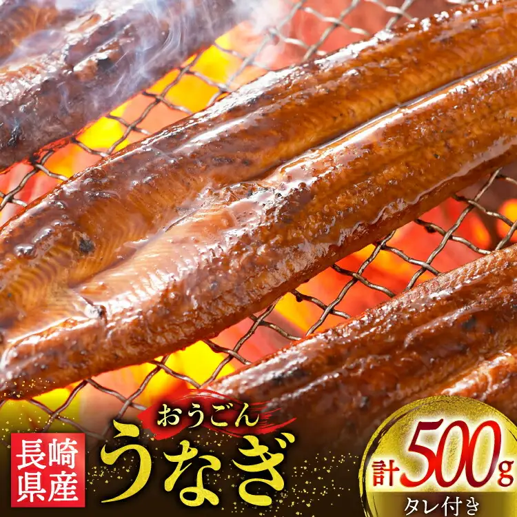 うなぎ 国産 蒲焼 長崎県産 おうごんうなぎ 約500g 1尾～4尾 [松永水産 長崎県 平戸市 hr42bvj550036] 鰻 うな重 うな丼 ひつまぶし 蒲焼き かばやき タレ付き 養殖 国内産 1尾 4尾 冷凍 unagi