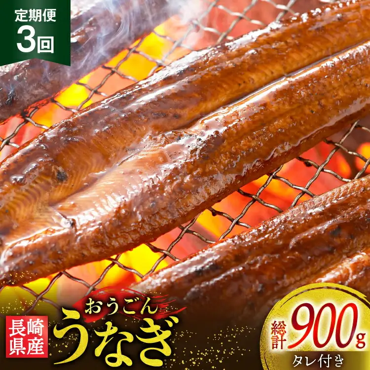 うなぎ 国産 蒲焼 長崎県産 おうごんうなぎ 約300g 2尾～3尾 3回 定期便 総計 約900g [松永水産 長崎県 平戸市 hr42bgy400032]
