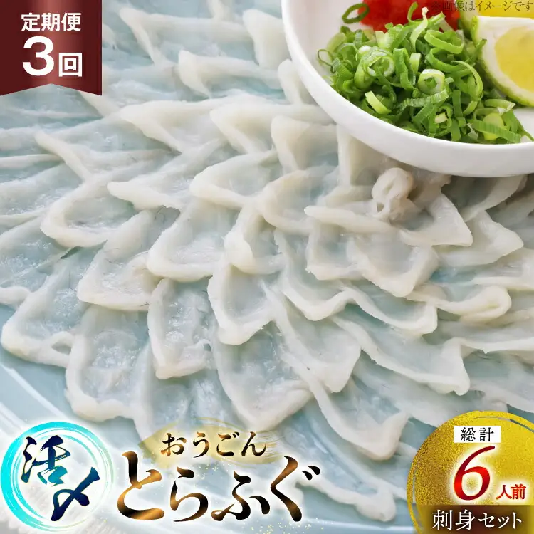 ふぐ 刺身 セット 活〆 おうごんとらふぐ 刺身セット 2人前 3回 定期便 [松永水産 長崎県 平戸市 hr42bgy400070]