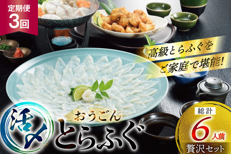 ふぐ 刺身 ふぐ鍋セット 活〆 おうごんとらふぐ 贅沢セット 2人前 3回 定期便 [松永水産 長崎県 平戸市 hr42bgy400072]