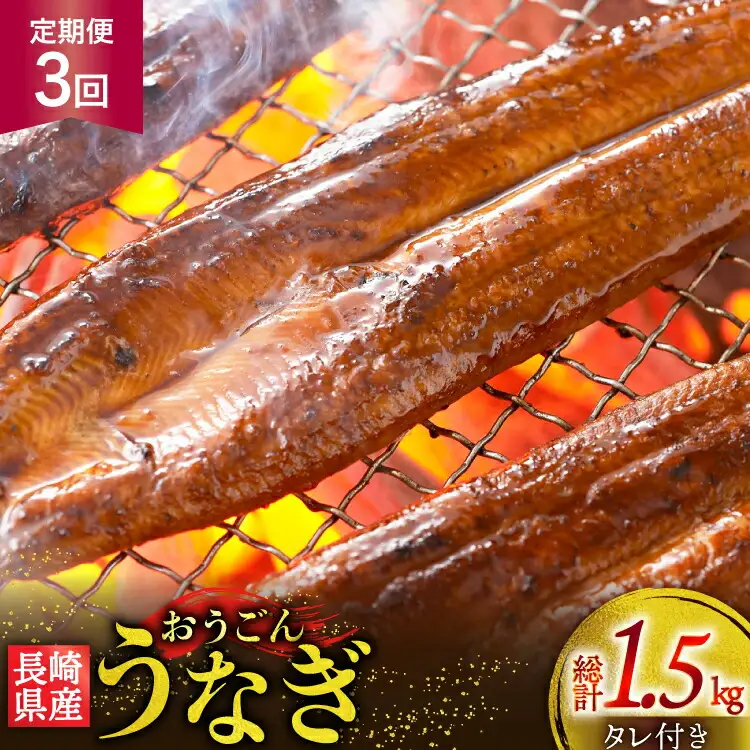 うなぎ 国産 蒲焼 長崎県産 おうごんうなぎ 約500g 3尾～4尾 3回 定期便 総計 約1.5kg [松永水産 長崎県 平戸市 hr42bgy400110]