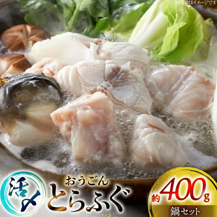 ふぐ 鍋 セット 活〆 おうごんとらふぐ 鍋セット 約400g [松永水産 長崎県 平戸市 hr42bvj550038] とらふぐ フグ 河豚 てっちり ふぐちり ふぐ料理 魚介 さかな 切り身 冷凍 海鮮 ふぐ鍋 唐揚げ ポン酢
