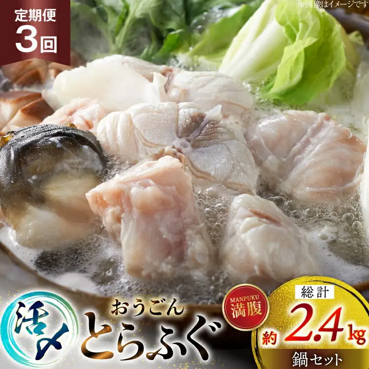 ふぐ 鍋 セット 活〆 おうごんとらふぐ 満腹 鍋セット 約800g 3回 定期便 総計 約2.4kg [松永水産 長崎県 平戸市 hr42bvj550031] とらふぐ フグ 河豚 てっちり ふぐちり ふぐ料理 魚介 さかな 切り身 冷凍 海鮮 ふぐ鍋 唐揚げ