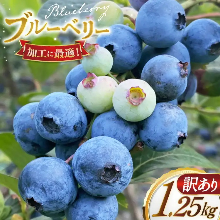 ブルーベリー 訳あり 冷凍 250g 5パック 計 1.25kg [いきつきブルーベリー園 moon berry's kitchen 長崎県 平戸市 hr42bhb500001]