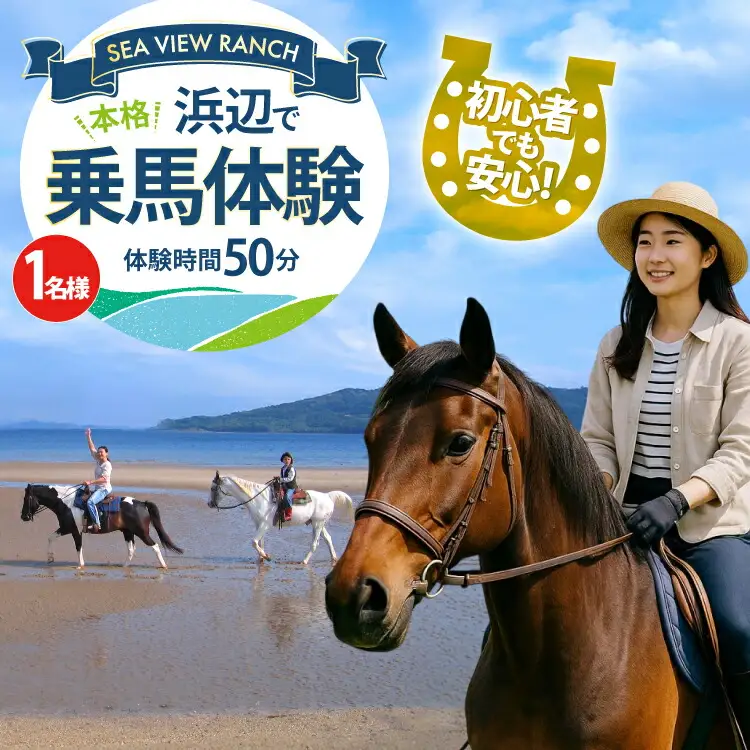 体験 乗馬 平戸の浜辺で本格乗馬体験 50分 [(株)シービューランチ 長崎県 平戸市 hr42bgy390076]