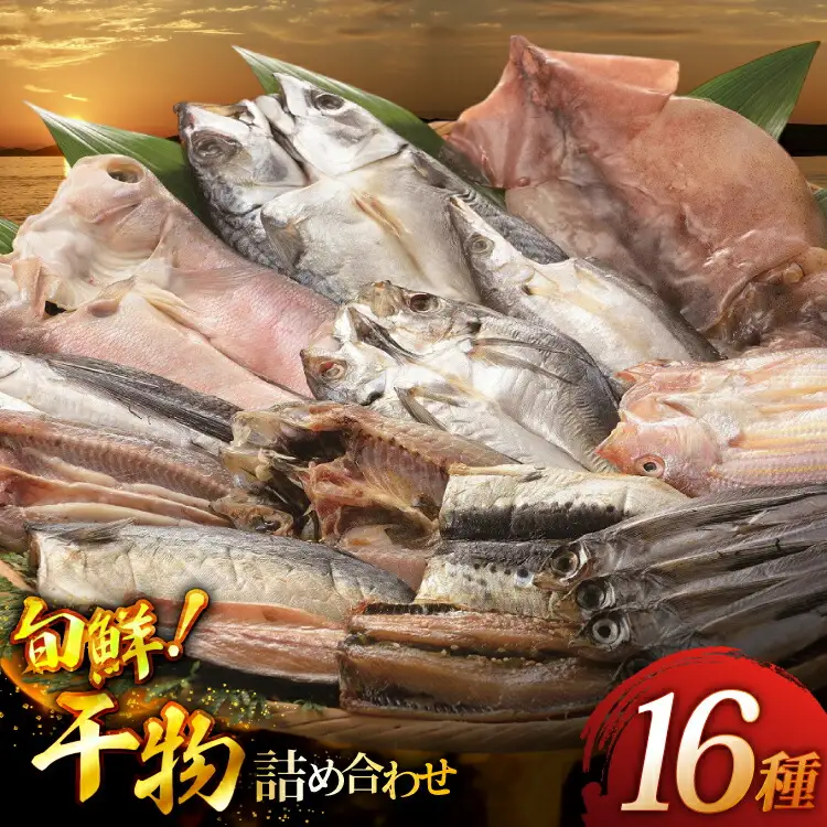 おつまみ イカ 旬魚 平戸 干物 16種 詰め合せ [森崎水産 長崎県 平戸市 hr42bgy410180]
