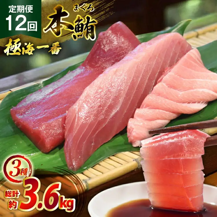 マグロ 切り身 極海一番 3種 セット 300g 12回 定期便 総計3.6kg 詰め合わせ 食べ比べ [囲炉裏料理エビス亭 長崎県 平戸市 hr42bgy390026]