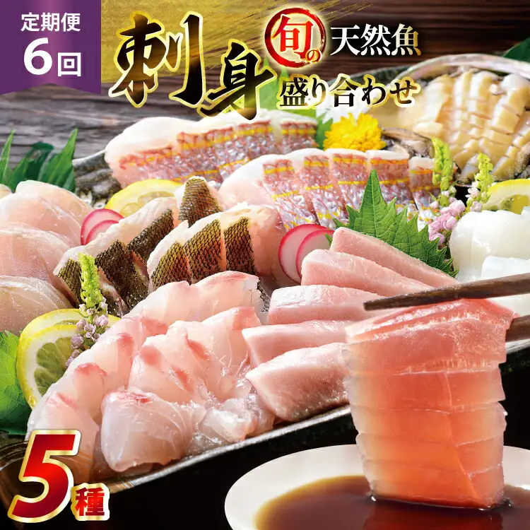 刺身 盛り合わせ 旬の天然魚の刺身盛り 5種 2～3人前 6回 定期便 総計12～18人前 詰め合わせ セット [囲炉裏料理エビス亭 長崎県 平戸市 hr42bgy390046]