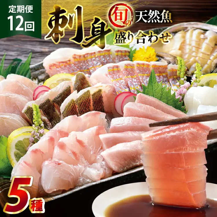 刺身 盛り合わせ 旬の天然魚の刺身盛り 5種 2～3人前 12回 定期便 総計24～36人前 食べ比べ セット [囲炉裏料理エビス亭 長崎県 平戸市 hr42bgy390053]