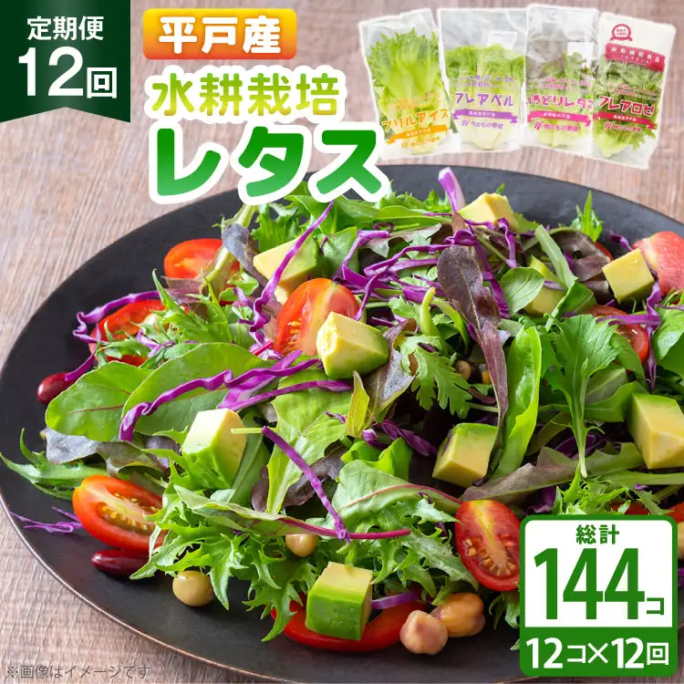 レタス 水耕栽培 4種 12袋 セット 12回 定期便 総計144袋 食べ比べ 詰め合わせ [モロフジファーム 長崎県 平戸市 hr42bgy420175]